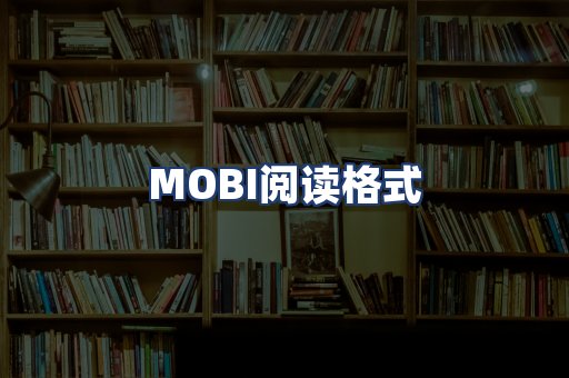 MOBI阅读格式